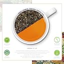 Dabri Mint Lemon Ginger Detox Green Tea 32 Pyramid Dip Tea Bags|Rich Antioxidant|Natural Freshens breathe with Lemon Grass,Mint Leaves,Dry Ginger|Build Immunity,Improve Digestion & Manage weight gallery image