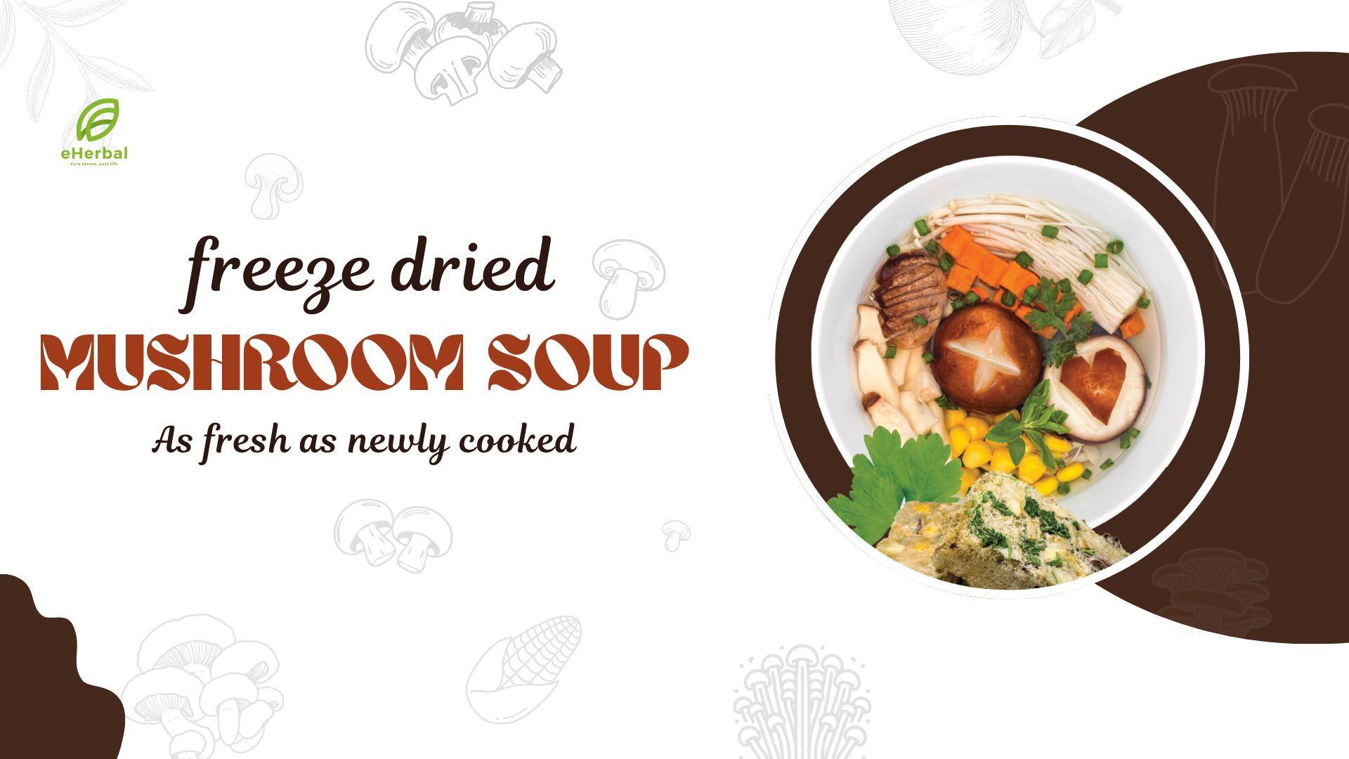 eHerbal Instant Mushroom Soup Cubes Freeze-Dried | 100% Real Mushrooms (Enoki, Shiitake, King Oyster) | Vegan, Quick & Delicious | 10 Servings, 120g (4.23oz)