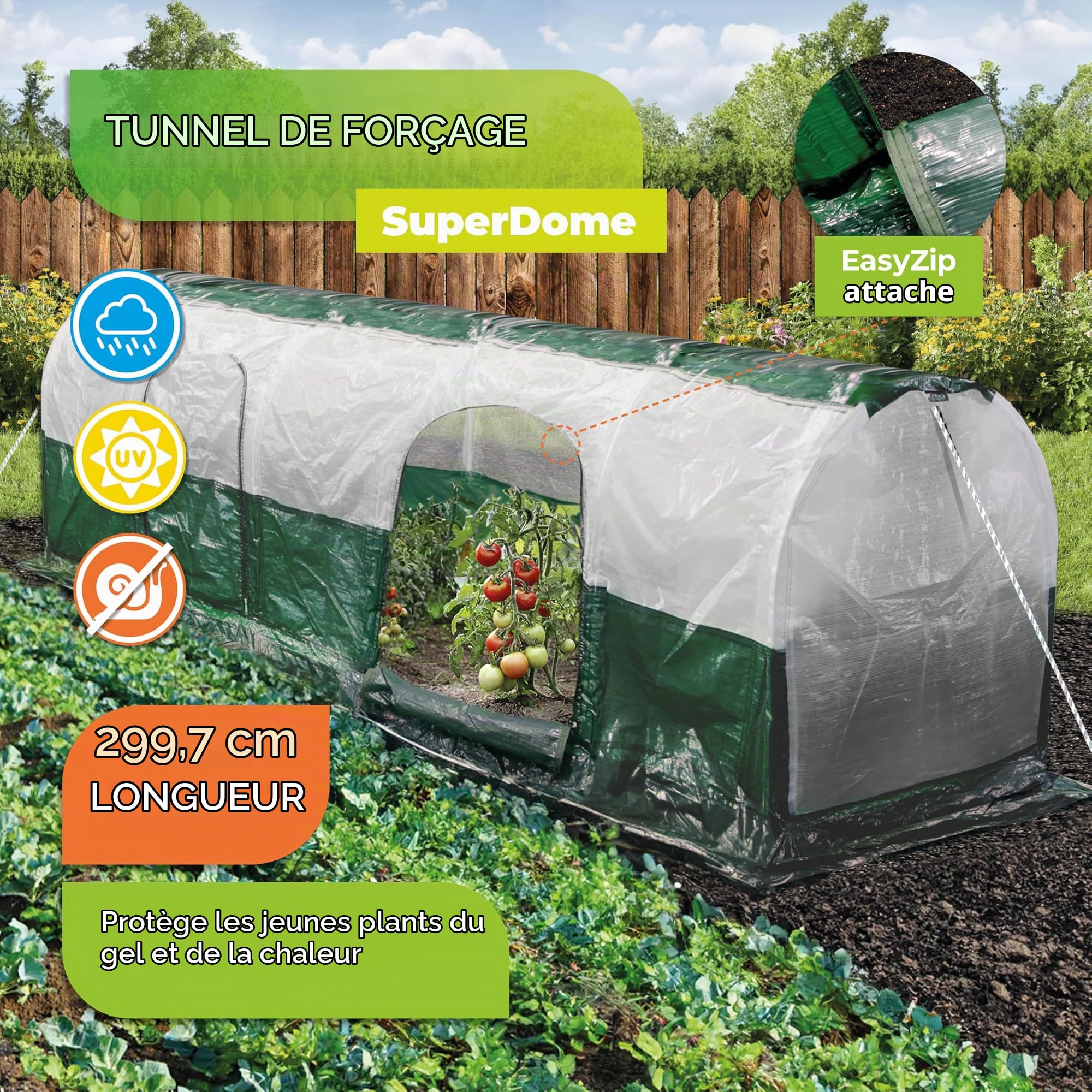Bio Green Super Dome Tunnel de Protection Vert Transparent
