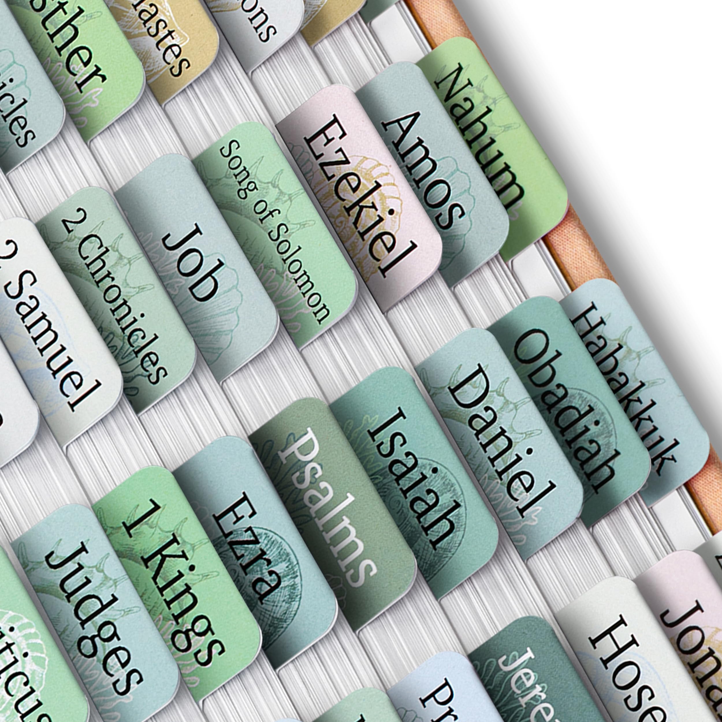 Mr. Pen- Bible Tabs, 75 Tabs, Coastal Meadow, Laminated Bible Tabs for Women and Men, Bible Tabs for Study Bible, Large Print Bible Index Tabs, Bible