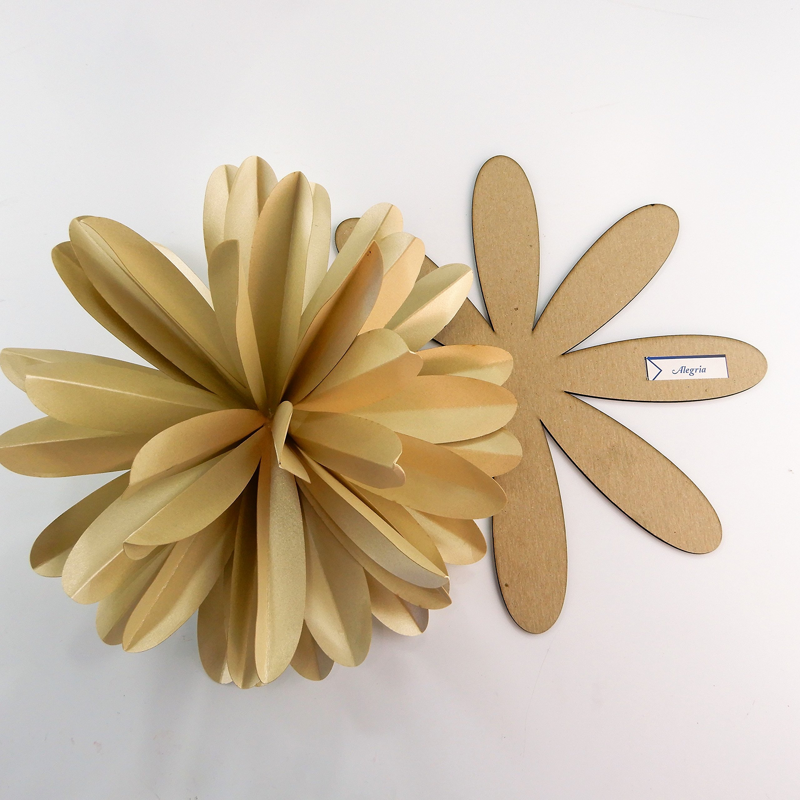 Paper Flower Template Kit Pattern DIY Make Your own Flower Backdrop Photo Booth Flower Decoration Card Stock Alegria