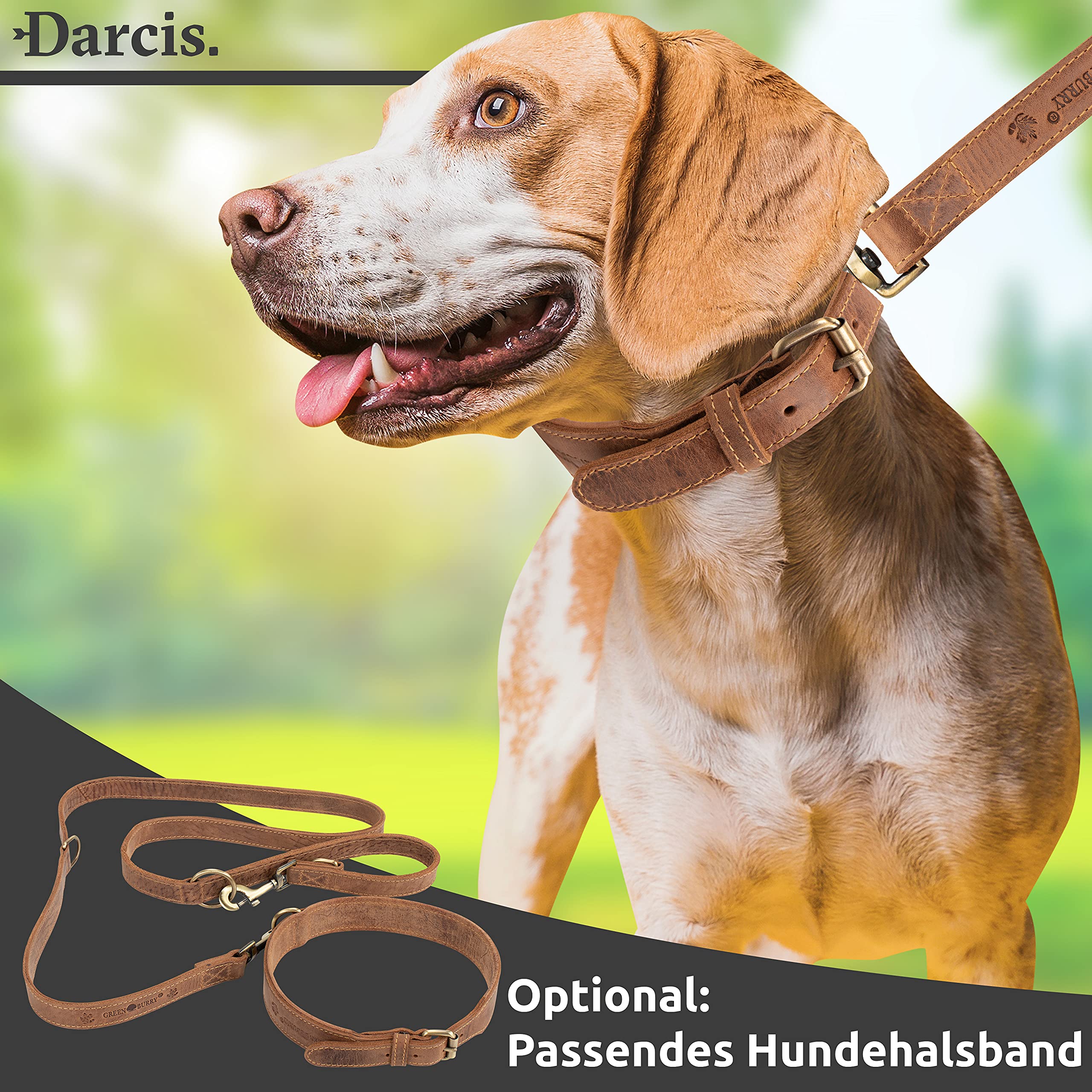 Greenburry Hundeleine Braun 200 cm - Extrem Robust aus hochwertigem und doppellagigen Rindsleder (2,5 cm breit) - Ideale Hunde Leine für Große Hunde - 3 Fach verstellbar - Rostfreier Karabinerhaken