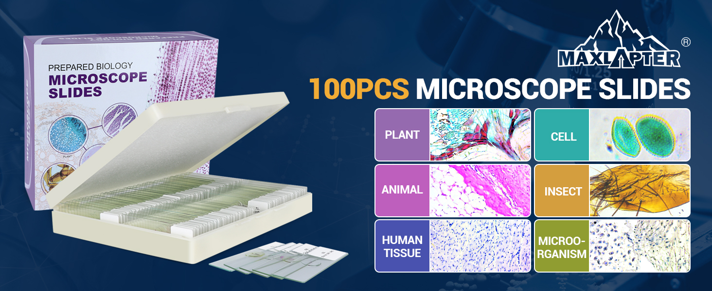 Image of 100Pcs Prepared Microscope Slides with Specimens for Kids Science Learning | Optical Glass Slides with Insect Plant Animal Human Tissue Sample, Students Homeschool Lab Classroom Education