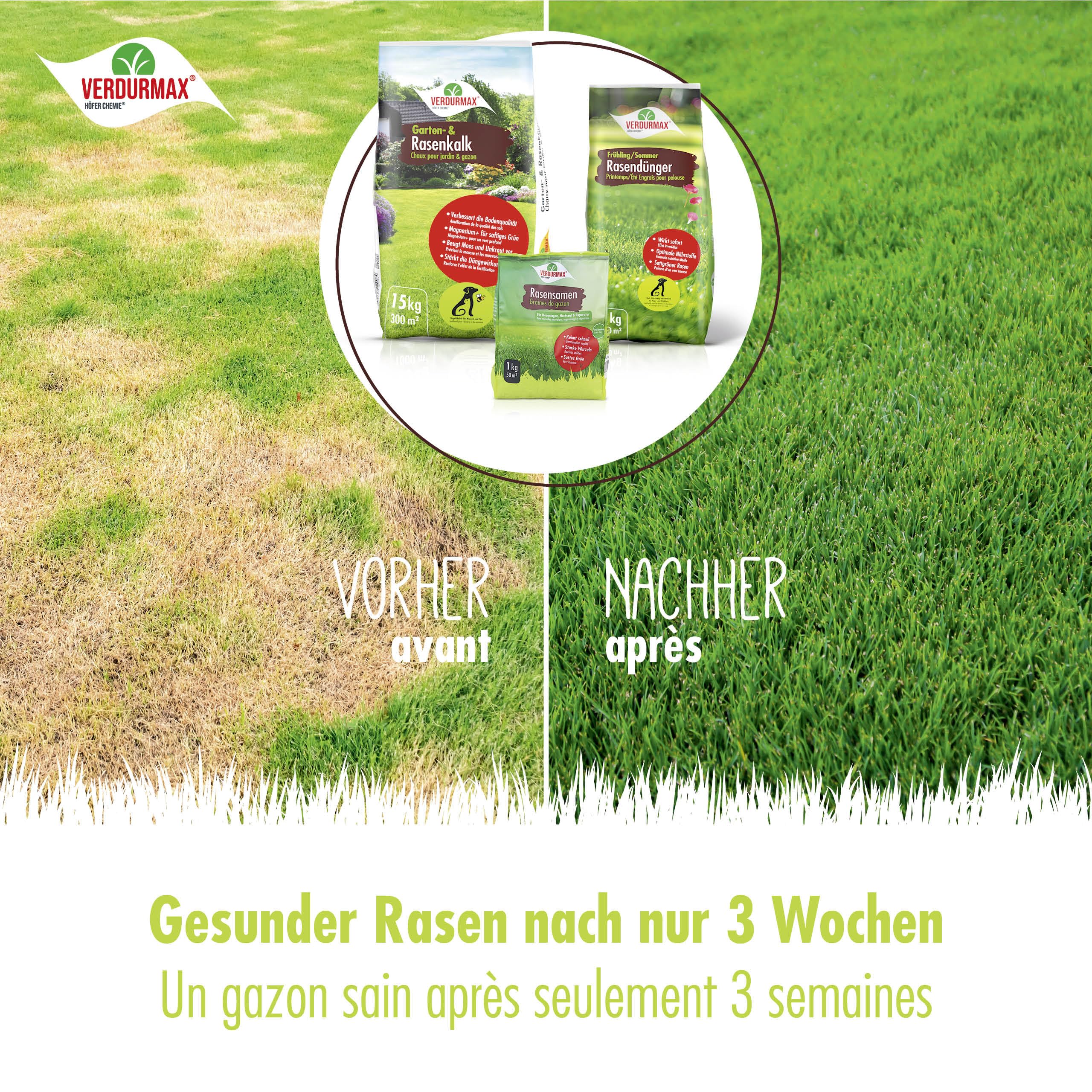 Verdurmax 5 kg d'engrais pour gazon Printemps & Été – Engrais à libération prolongée avec azote pour 250 m² de gazon vert luxuriant – Sans danger pour les chiens – Compatible avec épandeur
