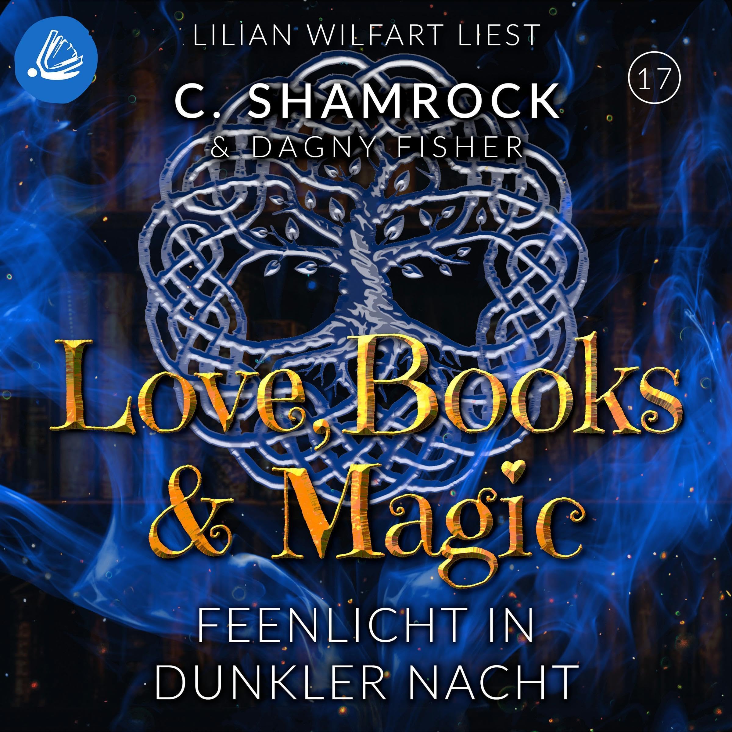 Cover art for Feenlicht in dunkler Nacht