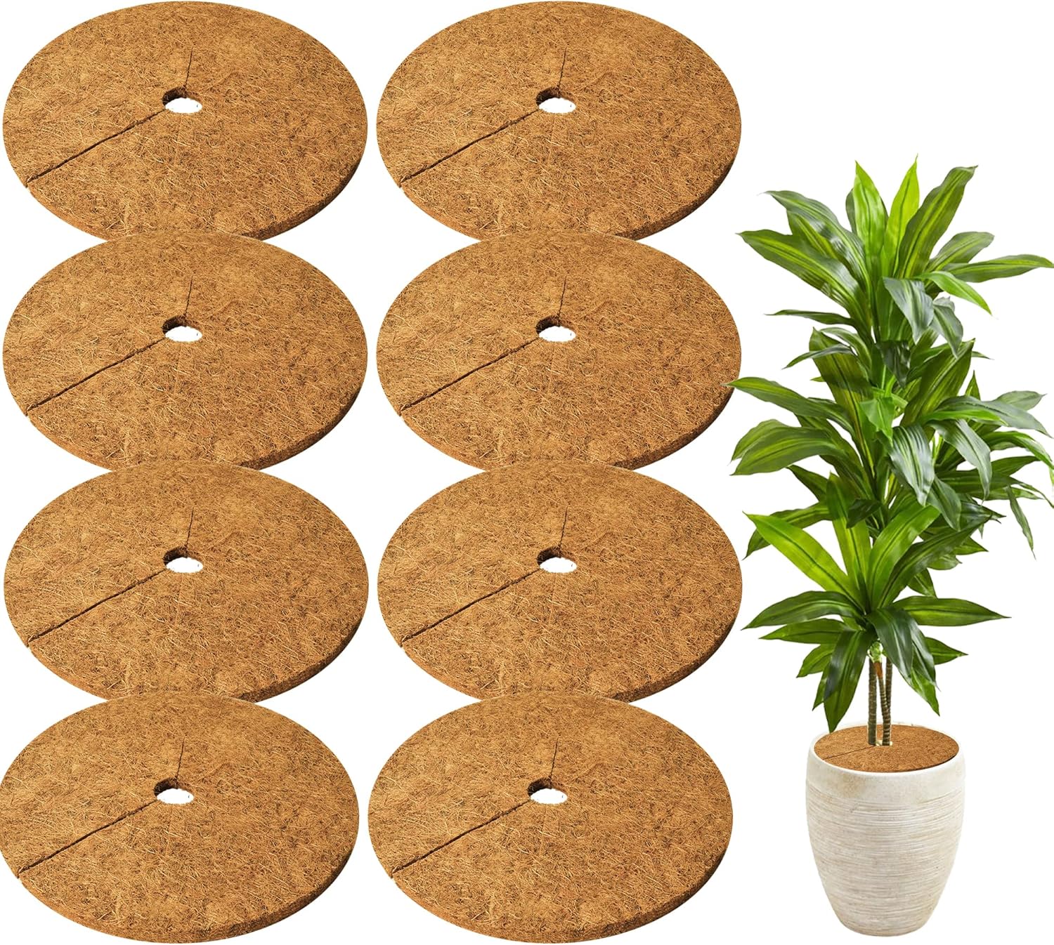 Y&M 8 PCS 17.5" Dia Coconut Fibers Tree Mulch Ring Mat, 17