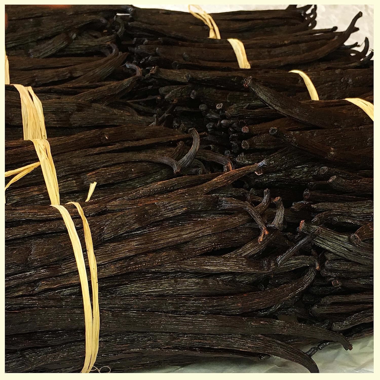 3lb Bulk Vanilla Beans Grade A++| Whole Vanilla Bean Pods For Making Extract & Baking, Ice cream, ~6-8 Inches | Non-GMO. By NYVanilla