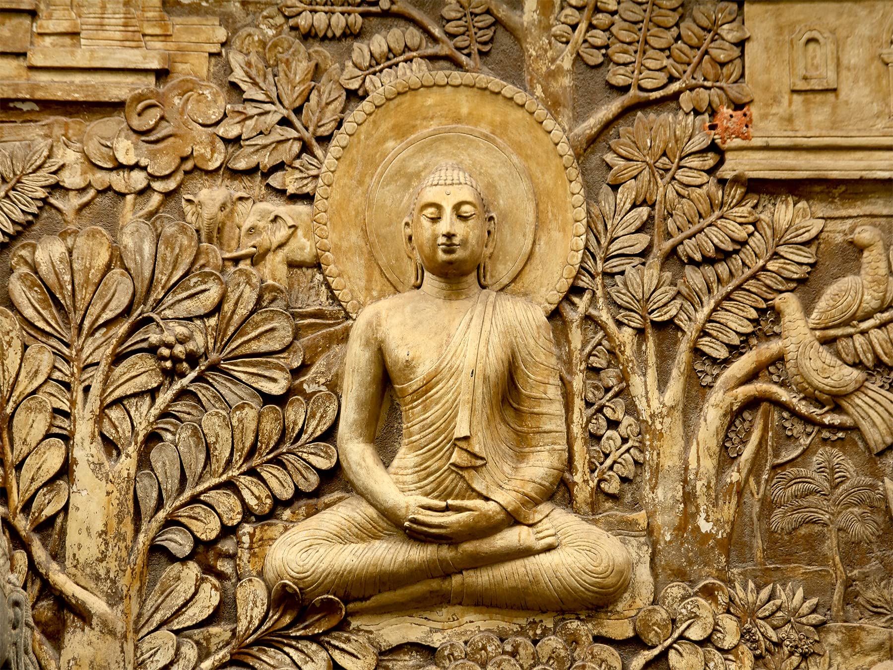 Wallpaper Production Golden Buddha Wallpaper Sticker for Home Décor, Living Room, Bedroom, Hall, Kids Room, Play Room(Self Adhesive Vinyl,Water Proof32 (72 X 48 INCH) (B09P8QRV54) Amazon Price History, Amazon Price Tracker