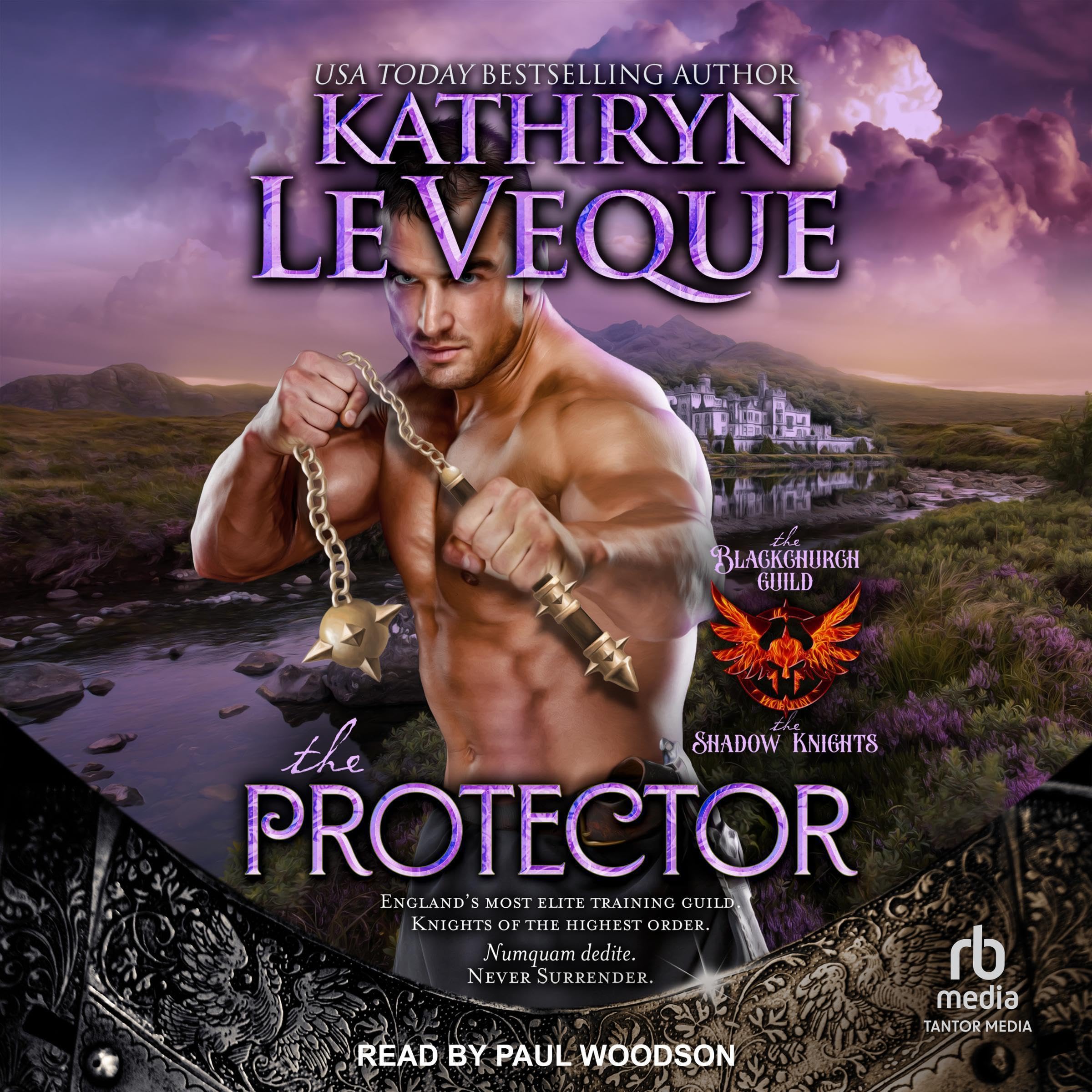 Cover art for The Protector: The Blackchurch Guild: The Shadow Knights, Book 2