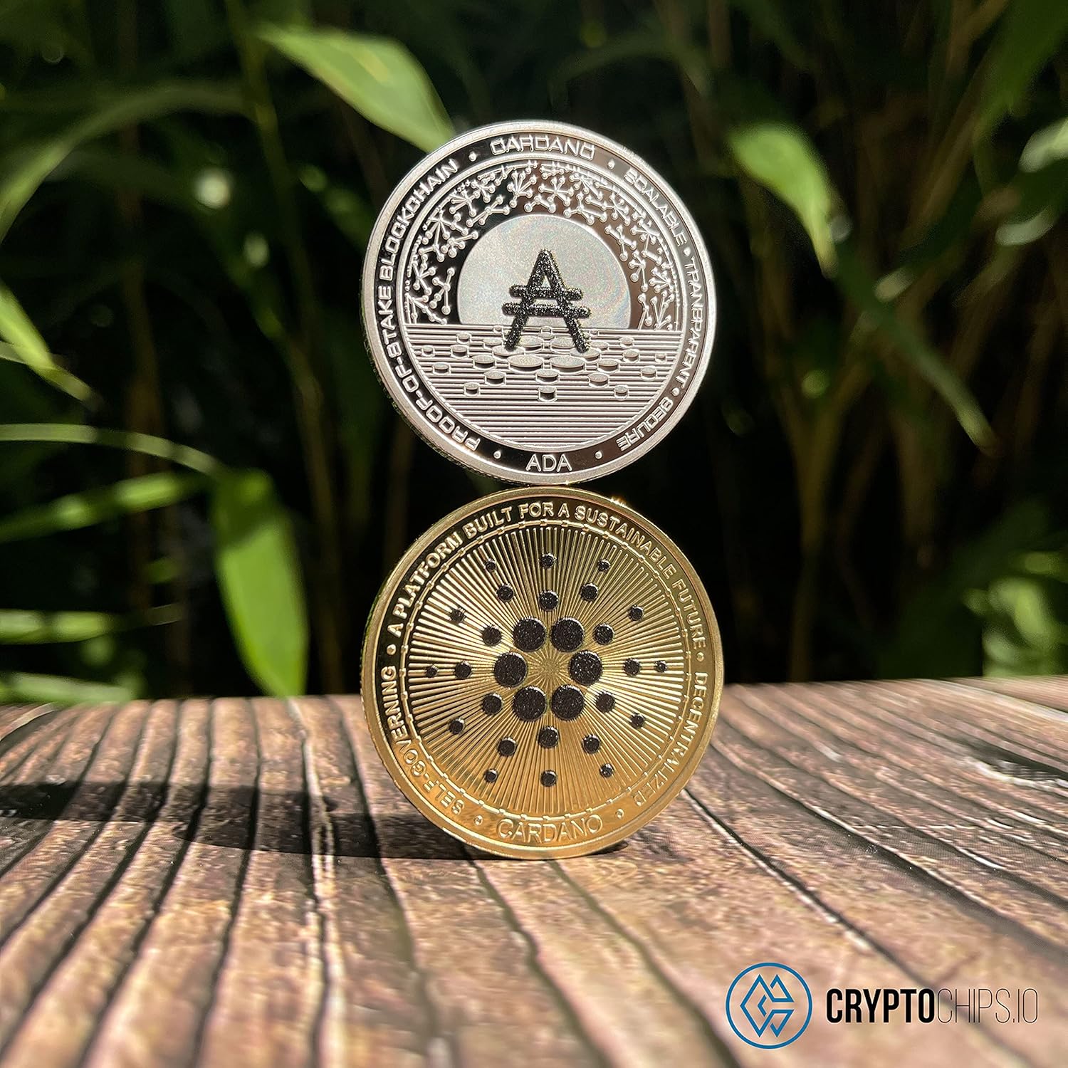 Moneda de criptomoneda física Cardano ADA - Chile | Ubuy