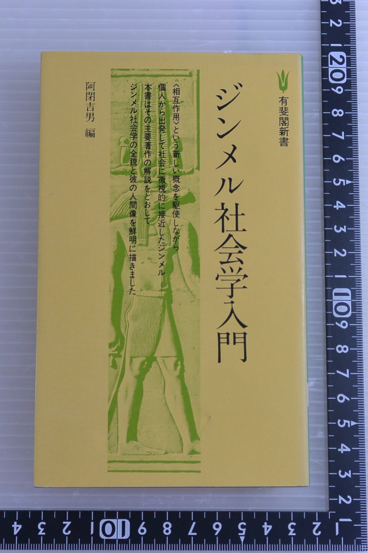 Amazon.co.jp: ジンメル社会学入門 (1979年) (有斐閣新書) : Japanese