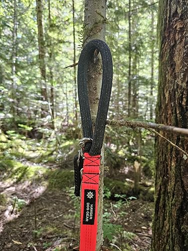 Miniatura 6 de Correa de perro resistente de 6 pies  Broche de liberación rápida, mango Dyneema, impermeable, 316 inoxidable, hecho a mano en Estados Unidos (negro)