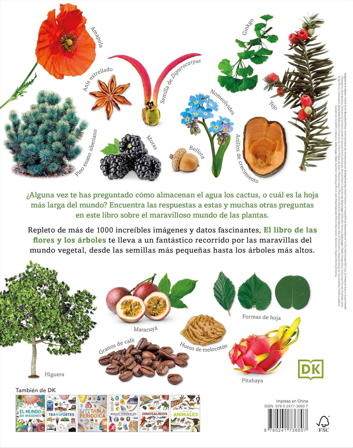 El libro de las flores y los árboles: ... y otros tesoros del reino vegetal