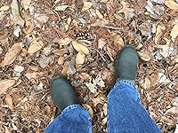 Review Image by Roger Hayes Roger Hayes