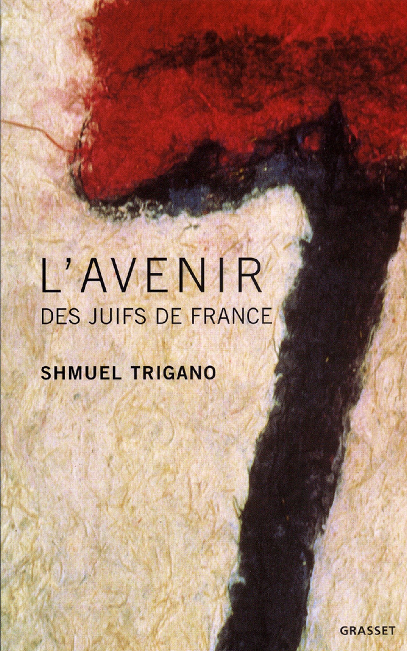 L'avenir des juifs de France (French Edition)