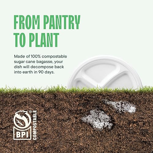Miniatura 5 de Stack Man - Platos 100% compostables de 10 pulgadas de alta resistencia paquete de 125 unidades 3 compartimentos, platos de bagazo blanco