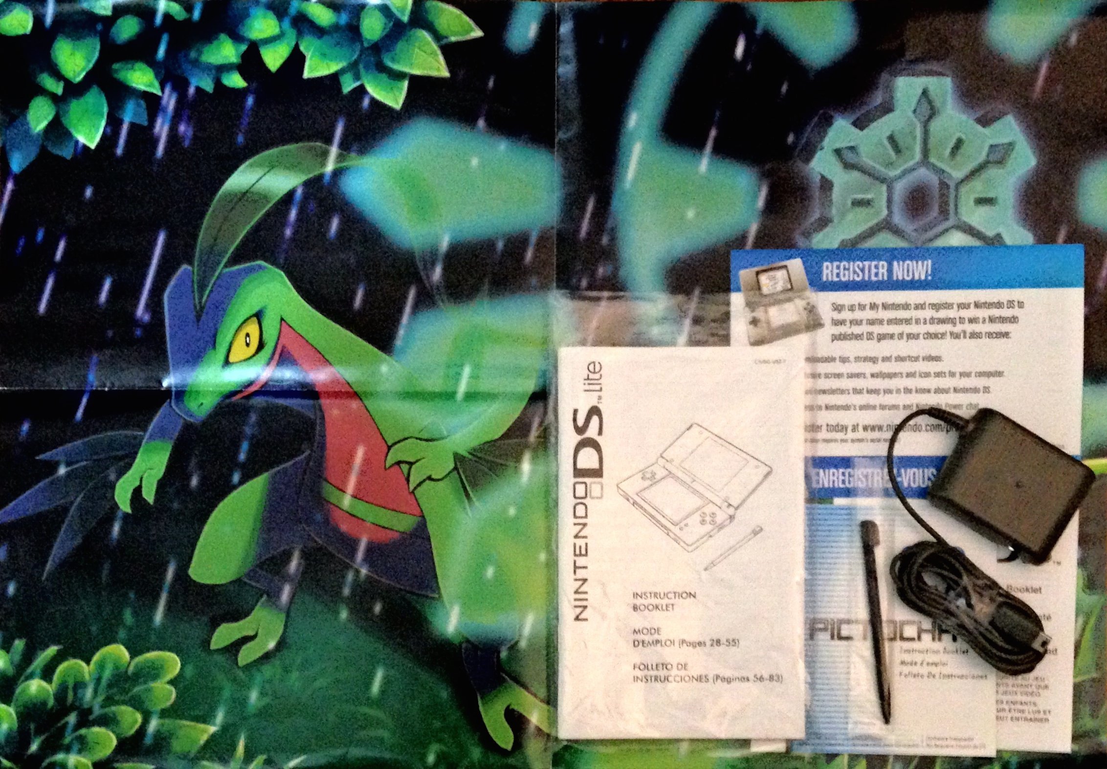 Nintendo DS Limited Edition Pokemon Pack : Amazon.ca: Video Games