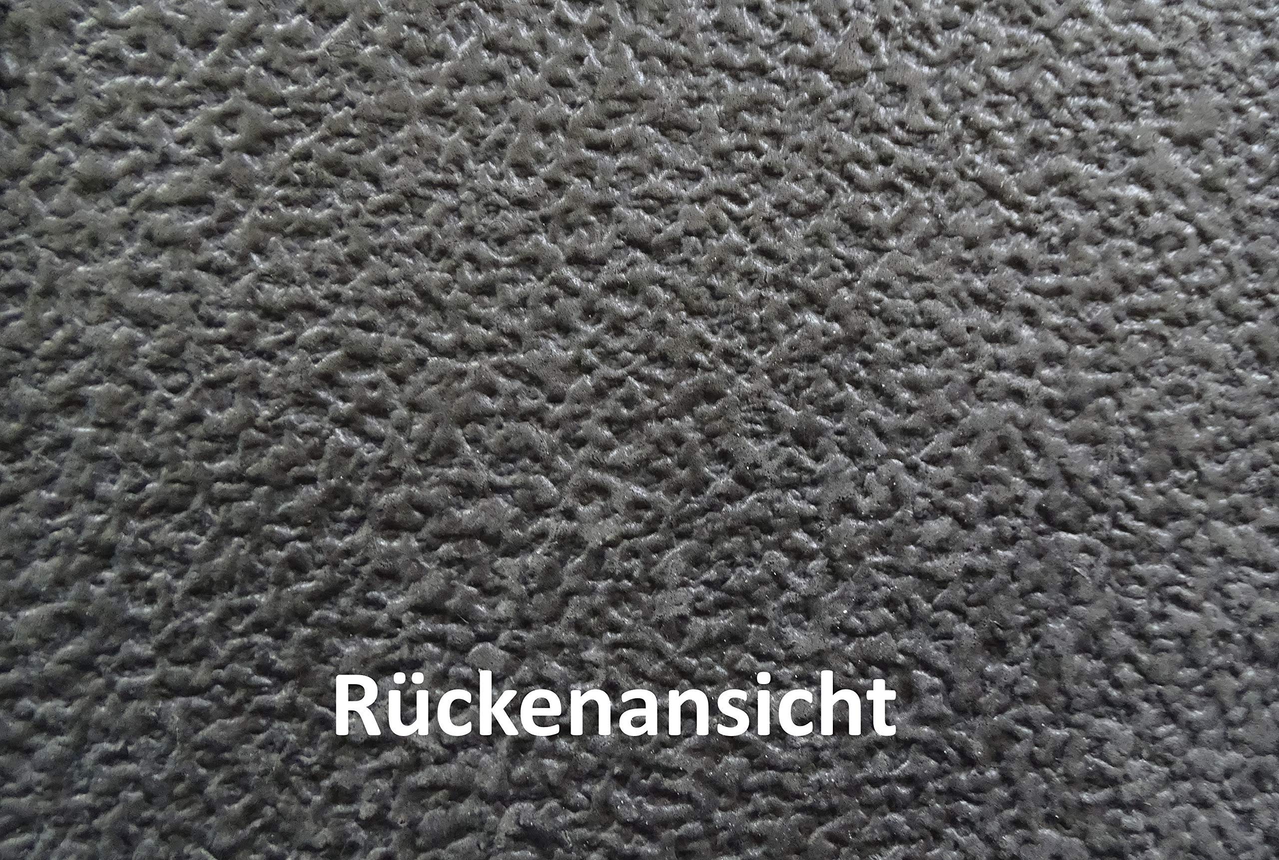 Automatte Autoteppich kompatibel mit Ducato Jumper II Boxer II 250 seit Bj. 2006 Tuftvelours Capri schwarz 1615-CT-S (schwarz, Fahrerhausteppich mit 2 Einstiegsmatten)