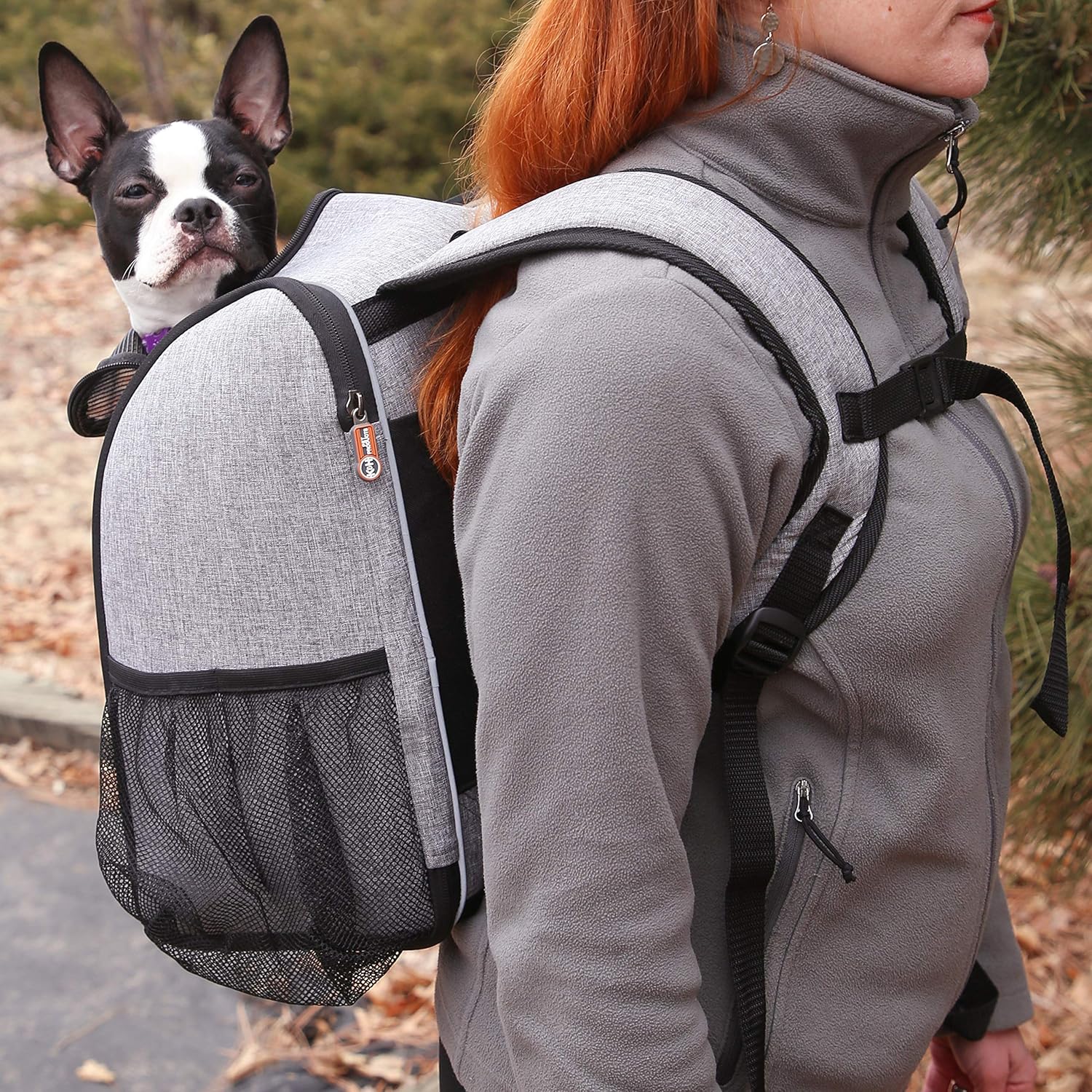 K&H PET PRODUCTS Travel Bike Backpack for Pets Gray 9.5 X 14 X 15.75 Inches : Pet Supplies