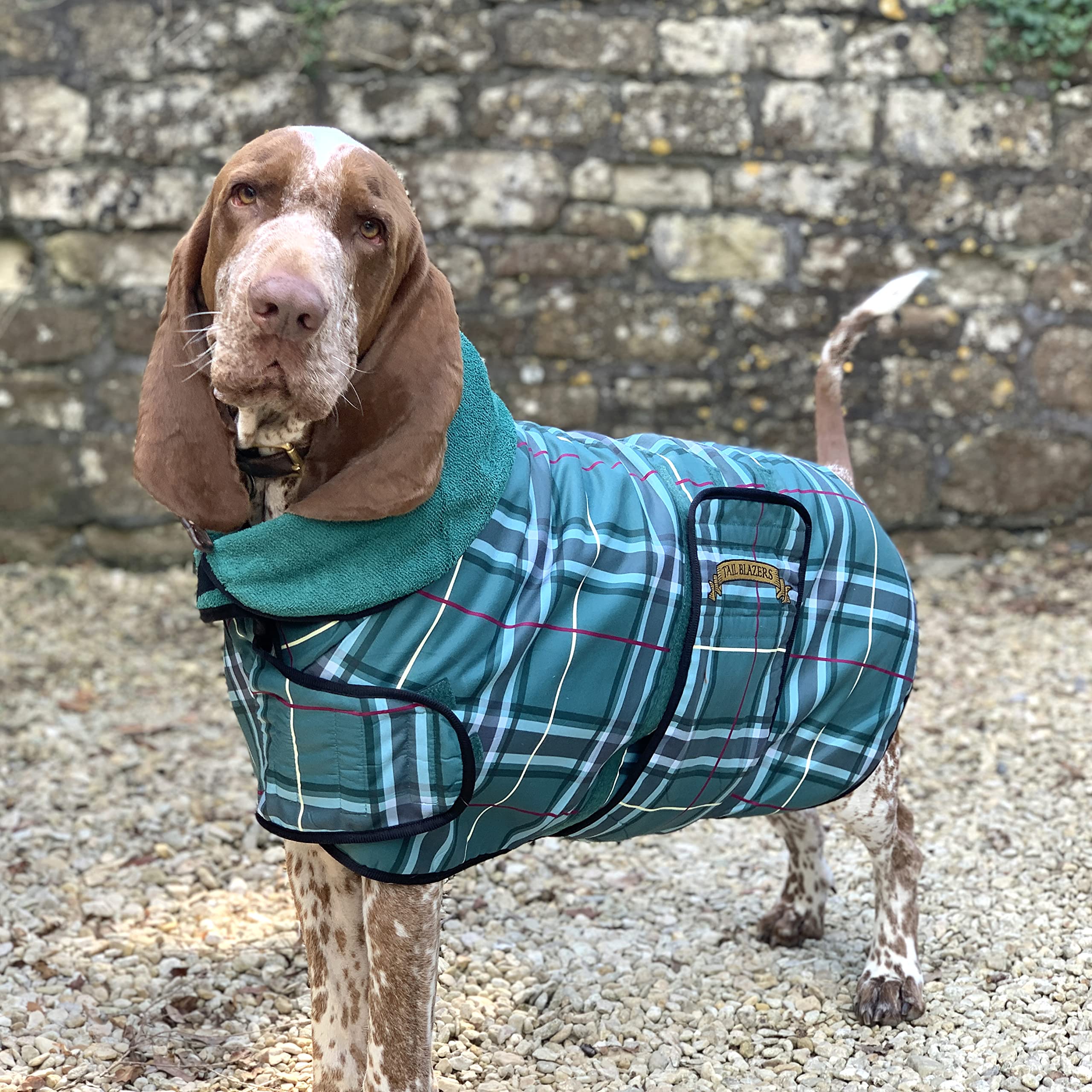 Premium Hunde-Trockenmantel Doppelschichtiger Mikrofaser-Trockenmantel Handtuchmantel Haustiertrockner Halten Sie es trocken und warm Hunde Camping und Strand Zubehör Maschinenwaschbar