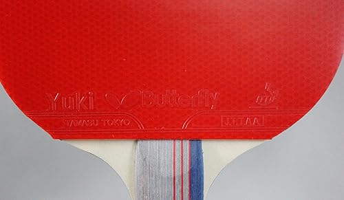 Miniatura 9 de Butterfly 401 Juego de raqueta de tenis de mesa  1 paleta de ping pong  1 estuche de ping-pong  Paddle de tenis de mesa aprobada por la ITTF  Se