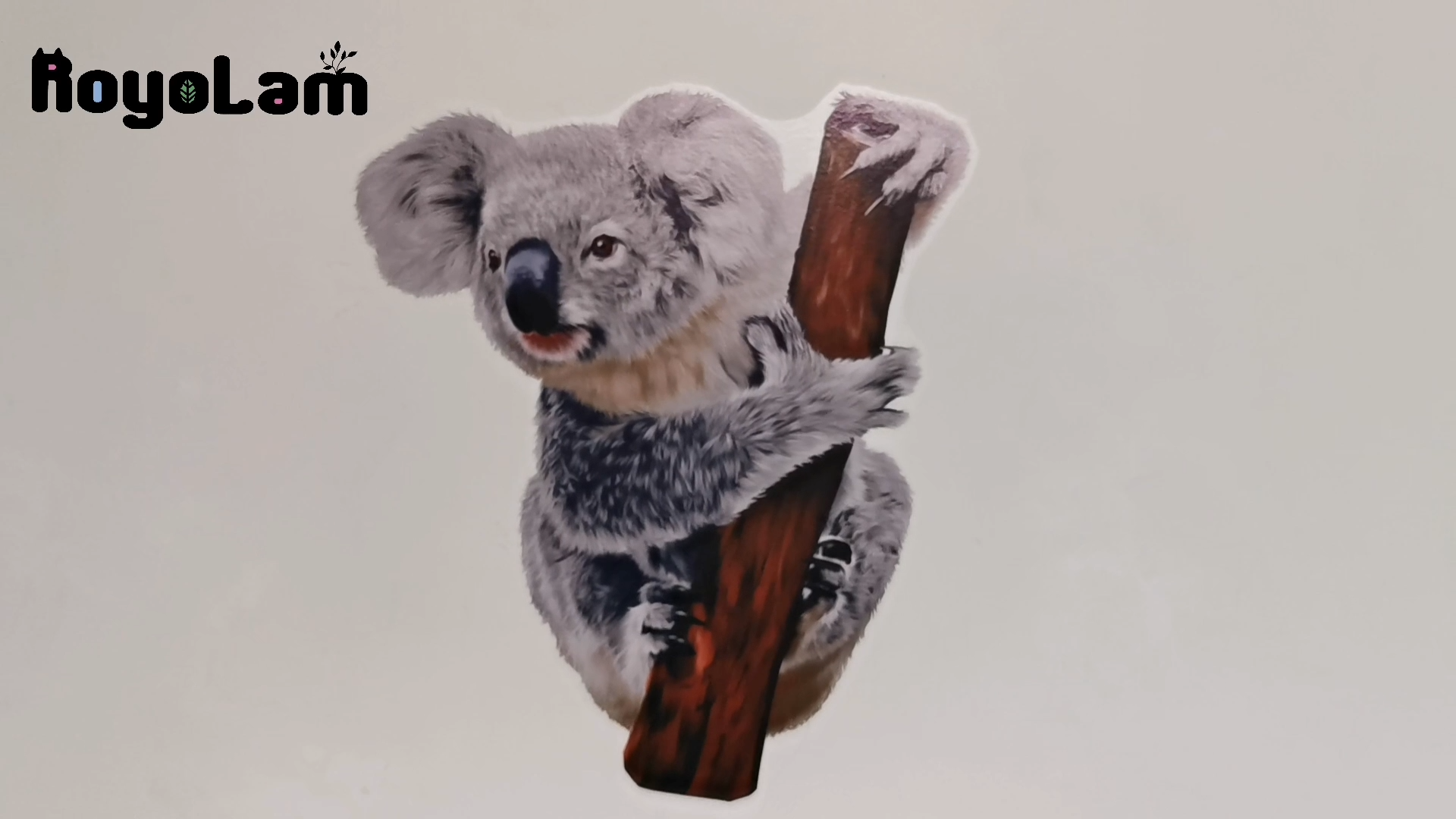 Vinilo decorativo koala en el árbol, impermeable y removible miniatura 7