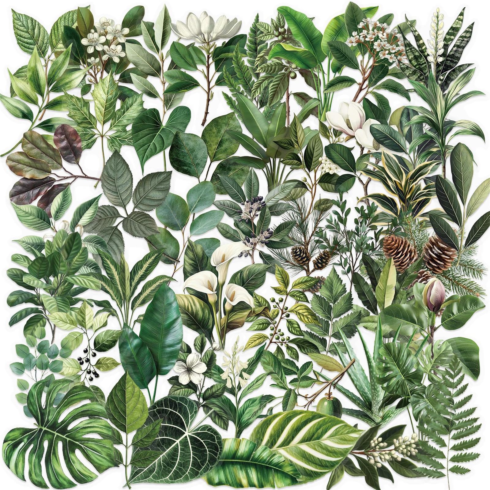 Photo 1 of 50PCS Transparent Leaf Stickers Pack,Aesthetic Nature Plant Decor for Laptop Gifts for Teens Adults Waterproof Vinyl PET Nature Stickers for Notebook Phone Bike Party Favors (Green)
