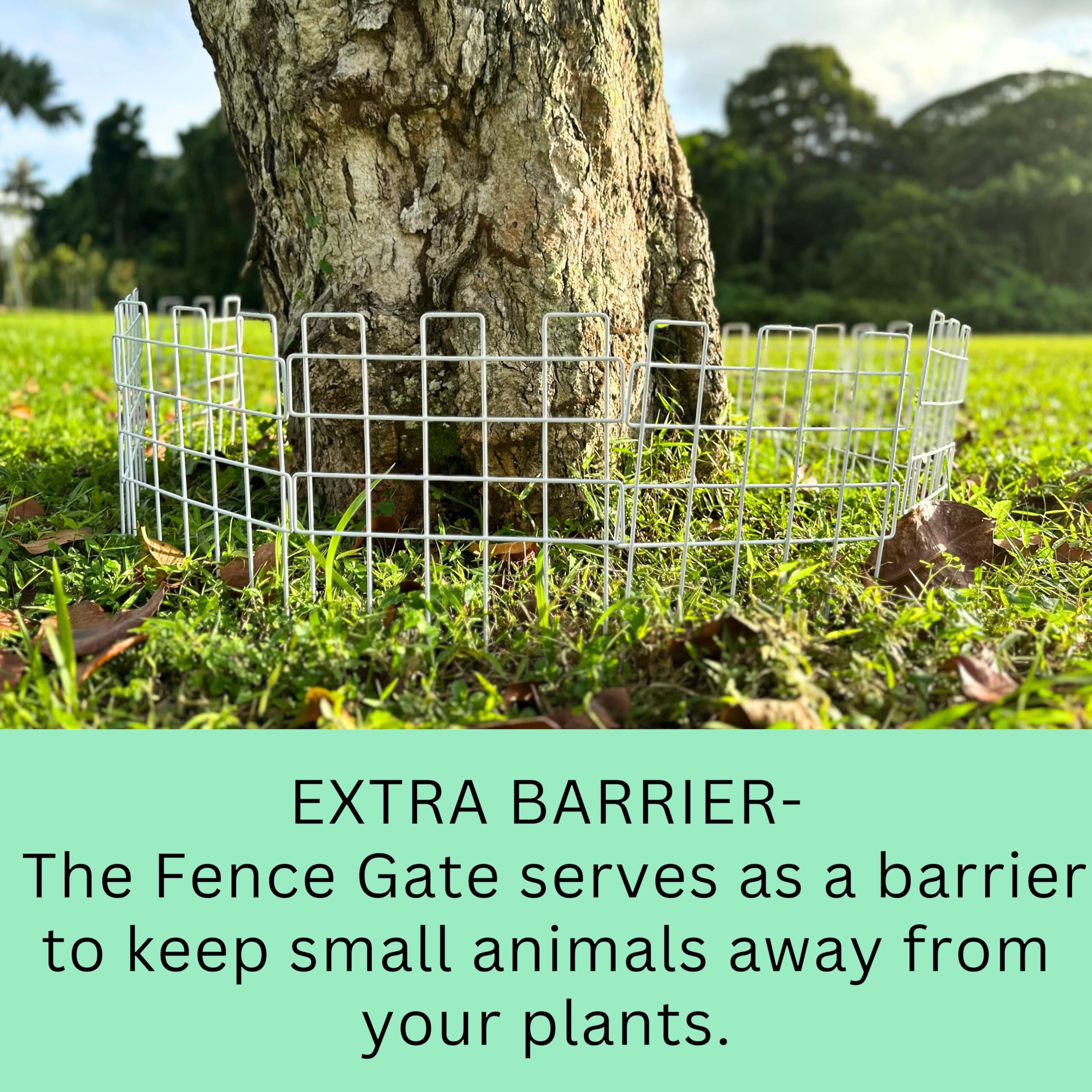 ShopLaLa Lot De 10 Panneaux De Clôture De Jardin Décorative