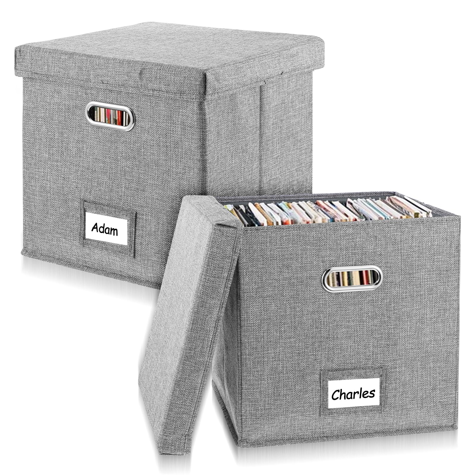 2 Pack Vinyl Record Storage Box, 13 Inch Lps Organizer with Lid, Play Music Collection Holder, Holds 100+ Albums, Stackable Crate with Handles for Home, Office, Studio