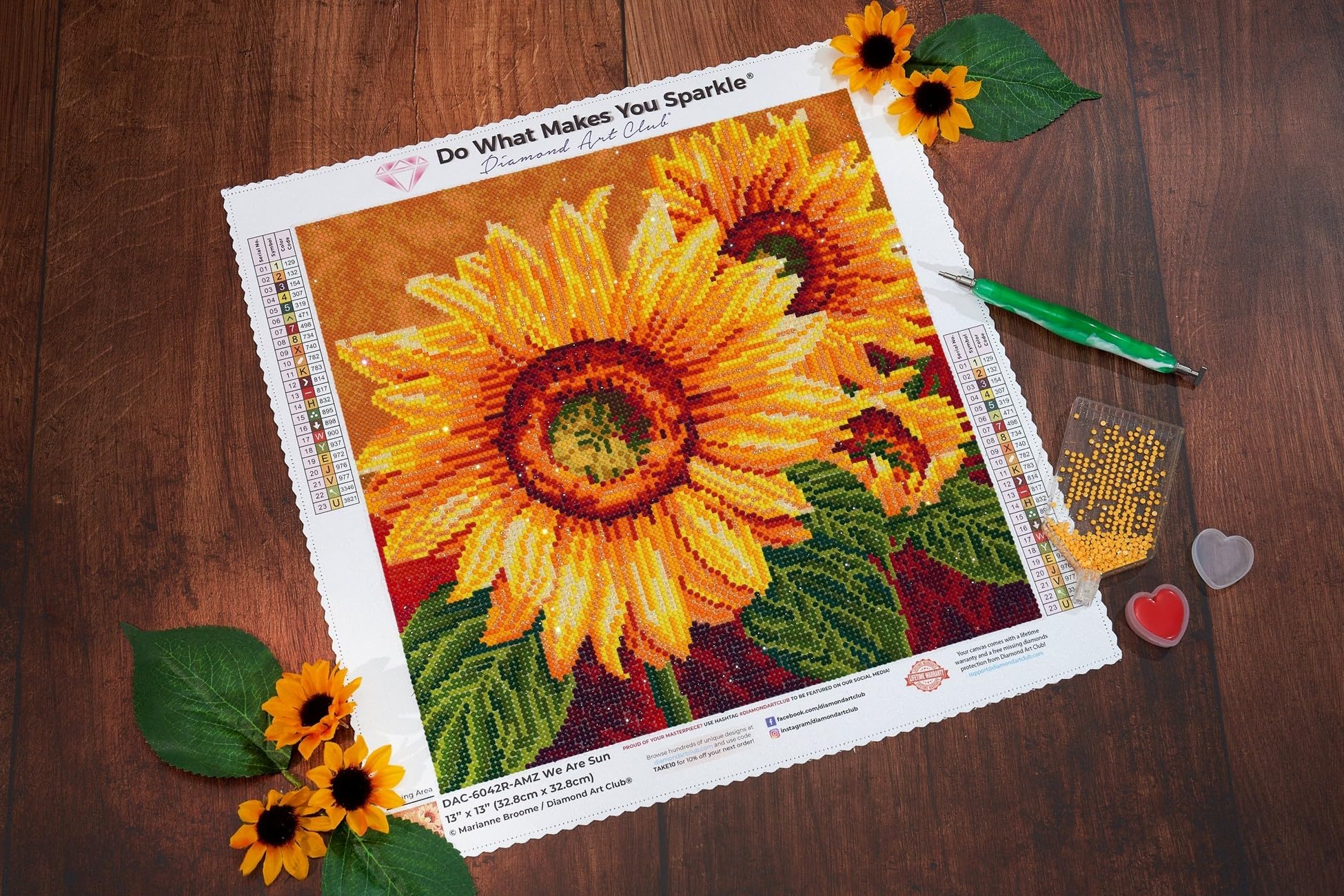 Amazon.com: DIAMOND ART CLUB We are Sun Diamond Painting Kit, Fun