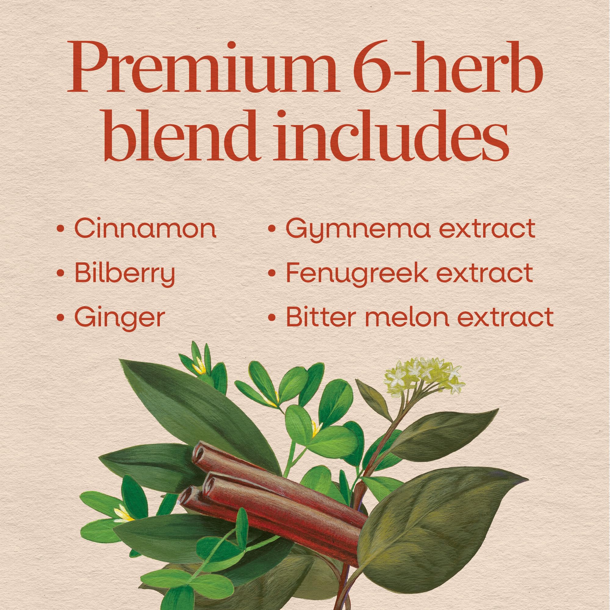 Nature's Way Blood Sugar Blend Capsules with Gymnema Extract, 90 ct — Amazon image 7