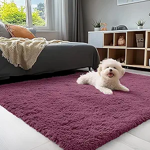 OLANLY 3x5 Machine Washable Small Bedside Rug, Soft Fluffy Shaggy Rugs for Living Room, Bedroom, Indoor Floor Carpet for Kids Girls and Boys, Preppy Dorms, Nursery, Home Decor Aesthetic, Burgundy