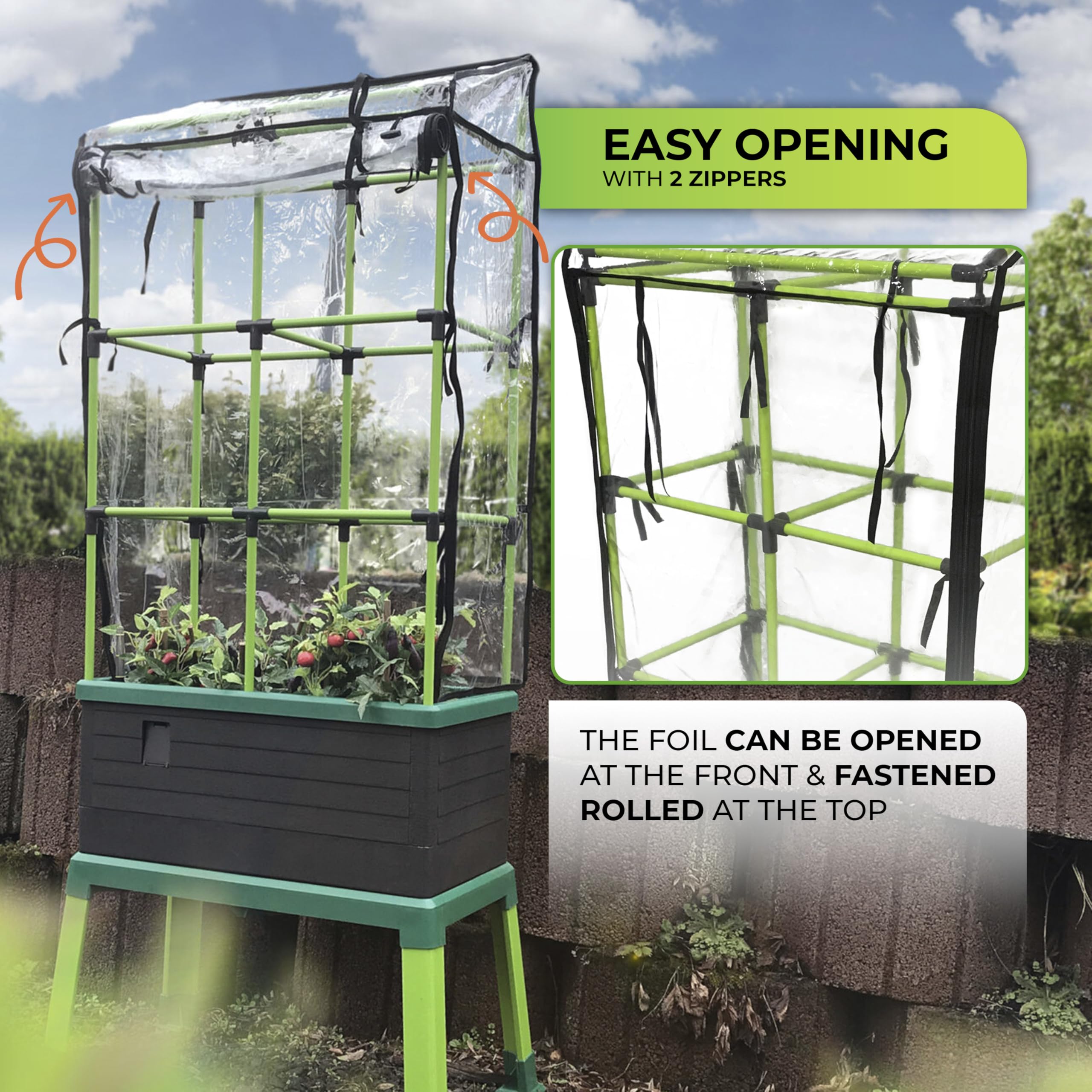 Bio Green JGL-C City Jungle pokrywa, przezroczysta