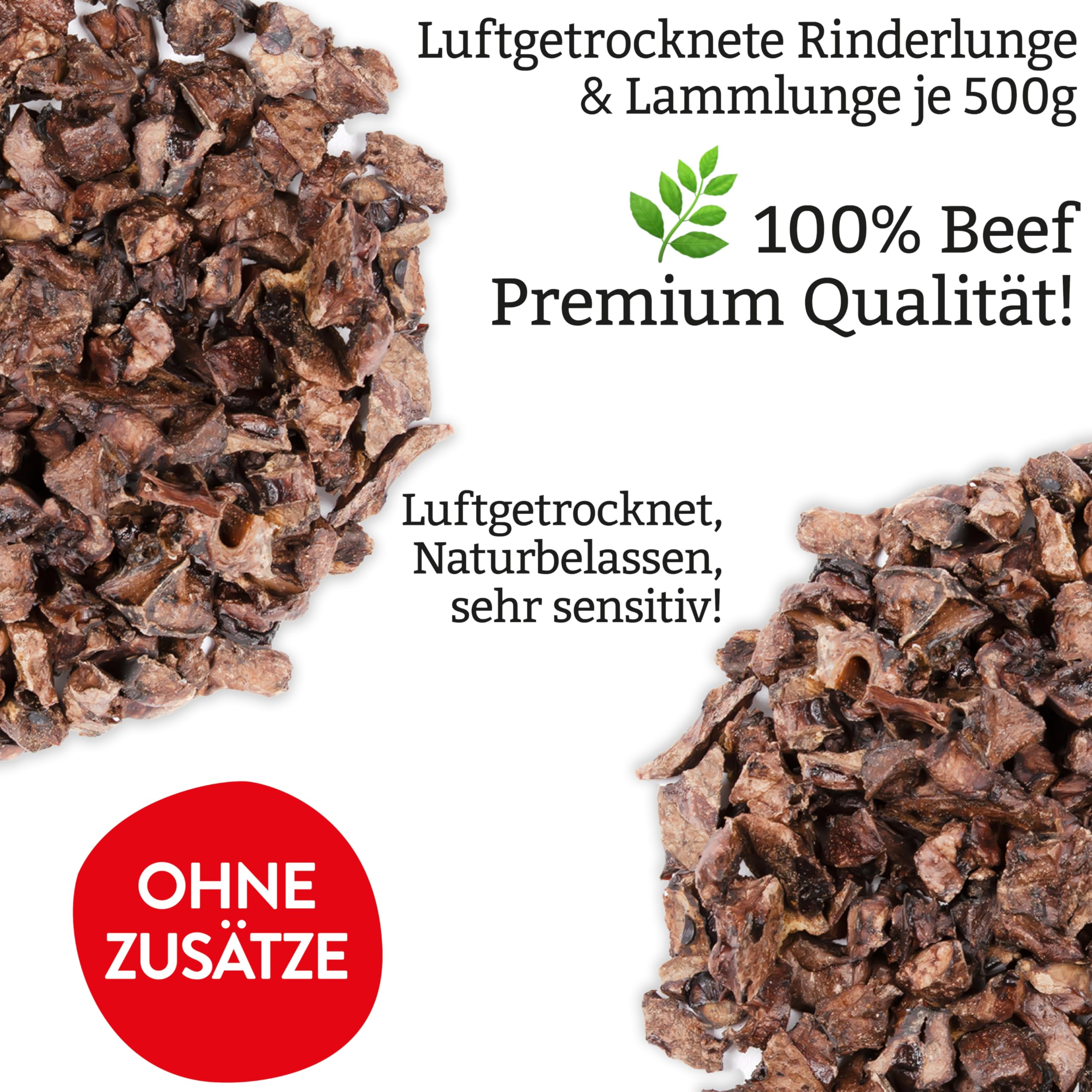 Premium Entdecker Snack-Set für Hunde 5-teilig | Getreidefrei, Proteinreich | Mix aus Wildfleisch, Rind, Lamm & Pute | Trockensnacks & Hundekekse