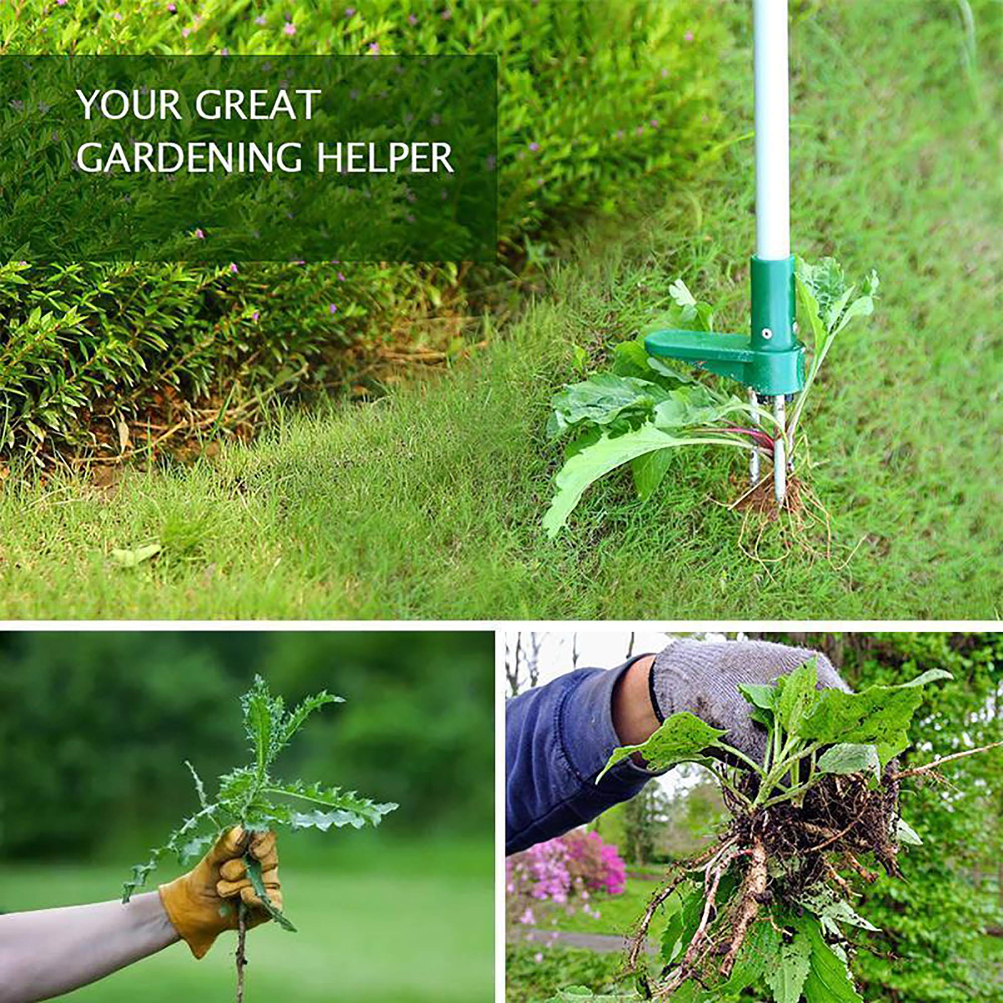 dauyavv Unkrautentferner Stehende Pflanzenwurzelentferner Biegefrei Garten Rasen Unkrautjäter Outdoor Wurzelabzieher Langer Griff Werkzeuge mit Grabhandschuhen