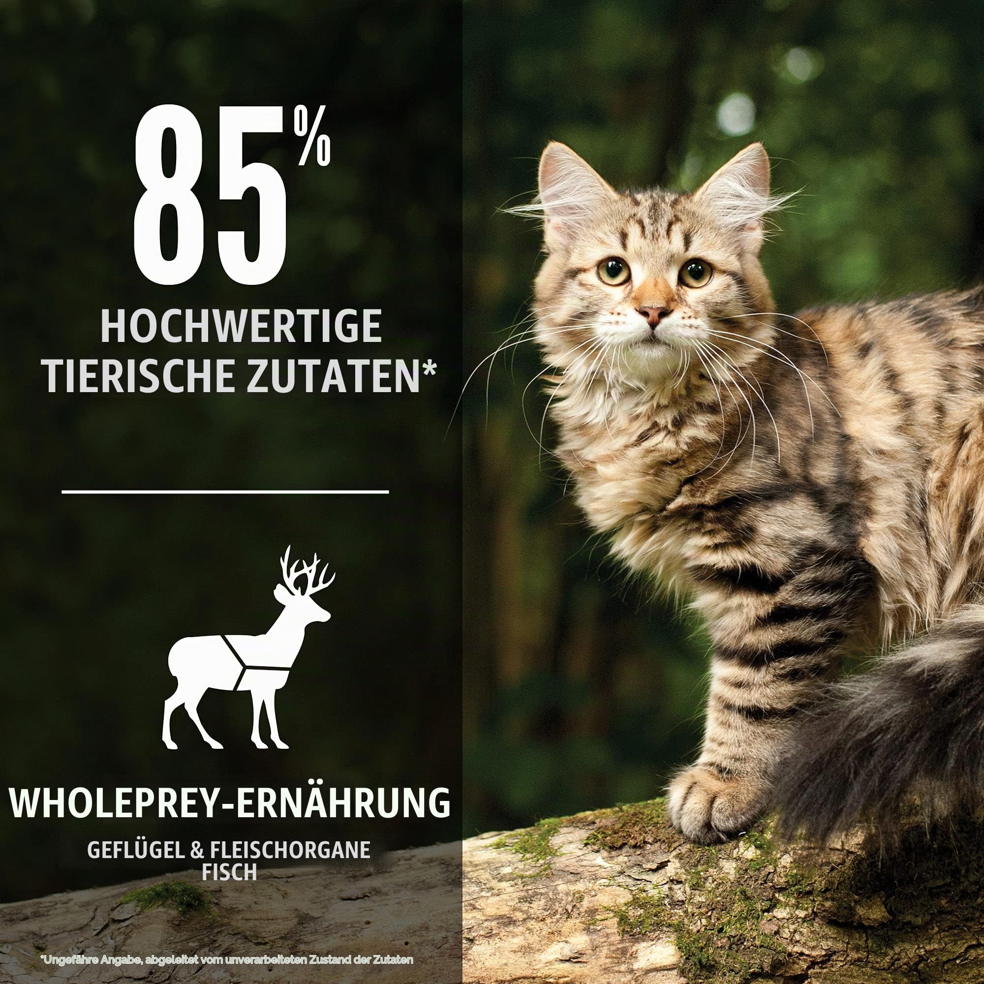 Orijen Tundra Katzenfutter - 5,4 kg ( getreidefrei )