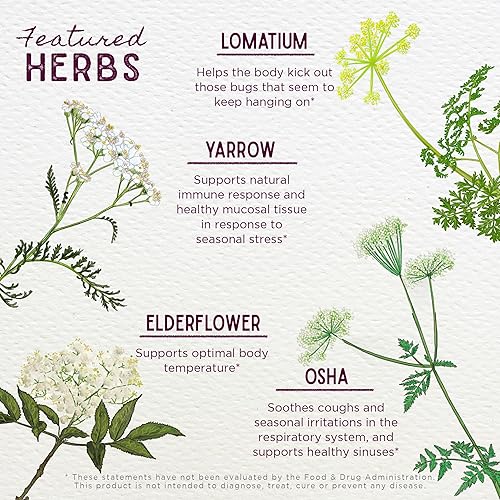 Miniatura 4 de WishGarden Herbs Serious V-Fighter - Apoyo inmunológico rápido a base de plantas y salud respiratoria con OSHA y Goldenseal, alivia dolores y