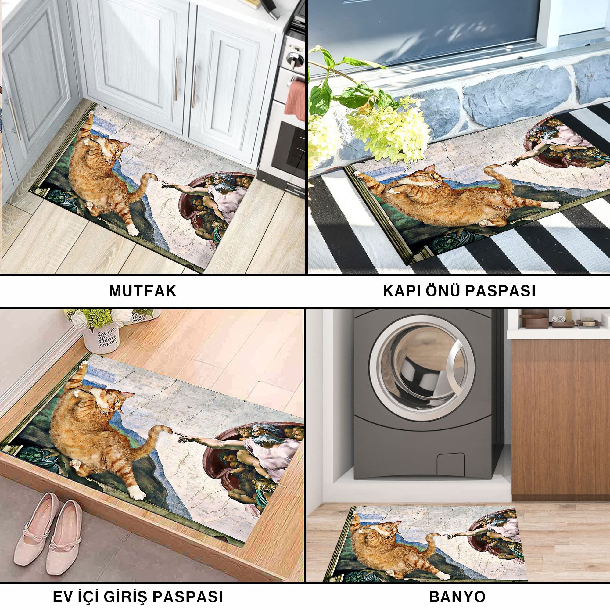 Monnhein Kedi Köpek Komik Tasarımlı Dekoratif Kapı önü Paspas, Dış Mekan/Ev İçi/Banyo/Mutfak/Yatak Odası/Giriş Paspasları (Kedinin Yaratılışı, 45x70)