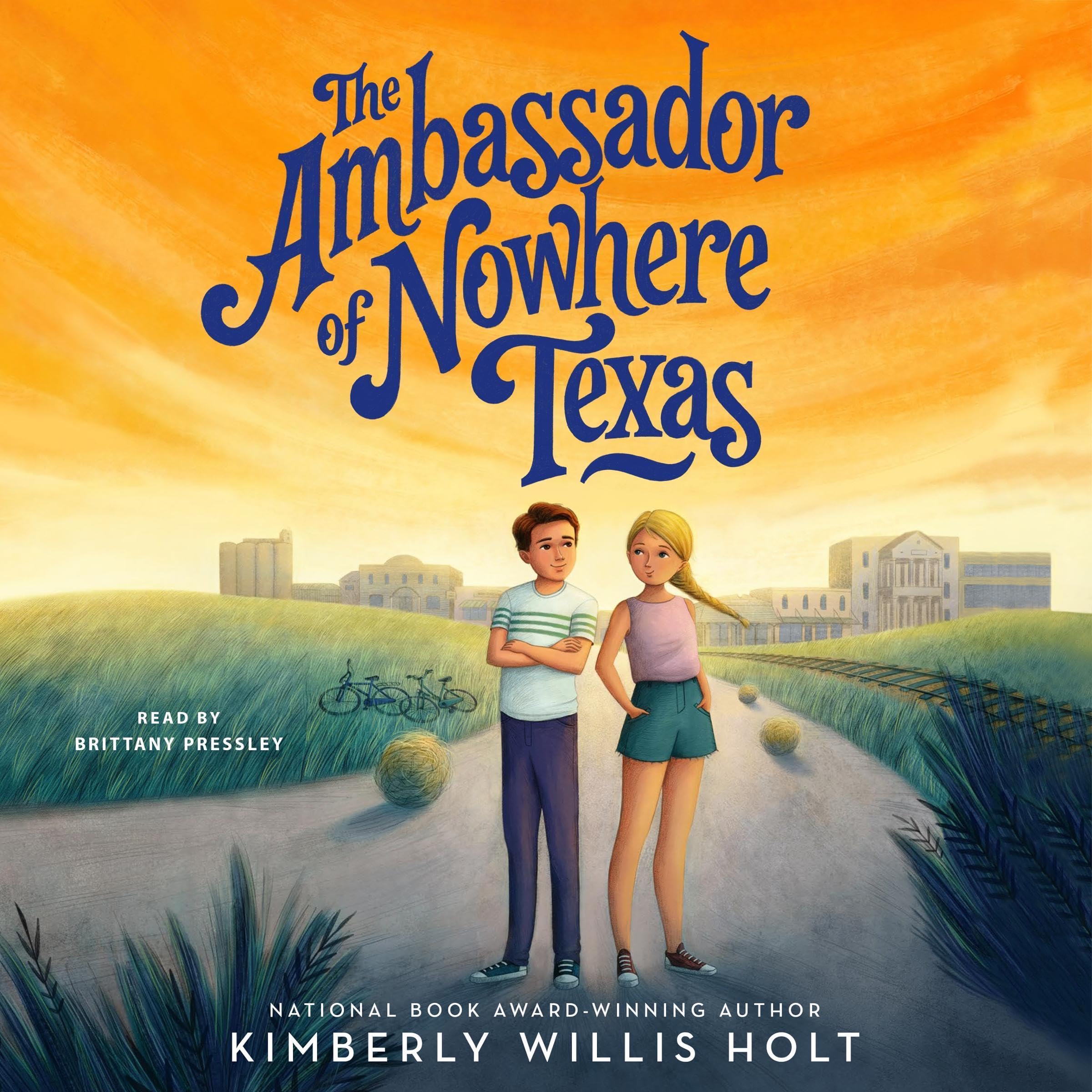 Cover art for The Ambassador of Nowhere Texas
