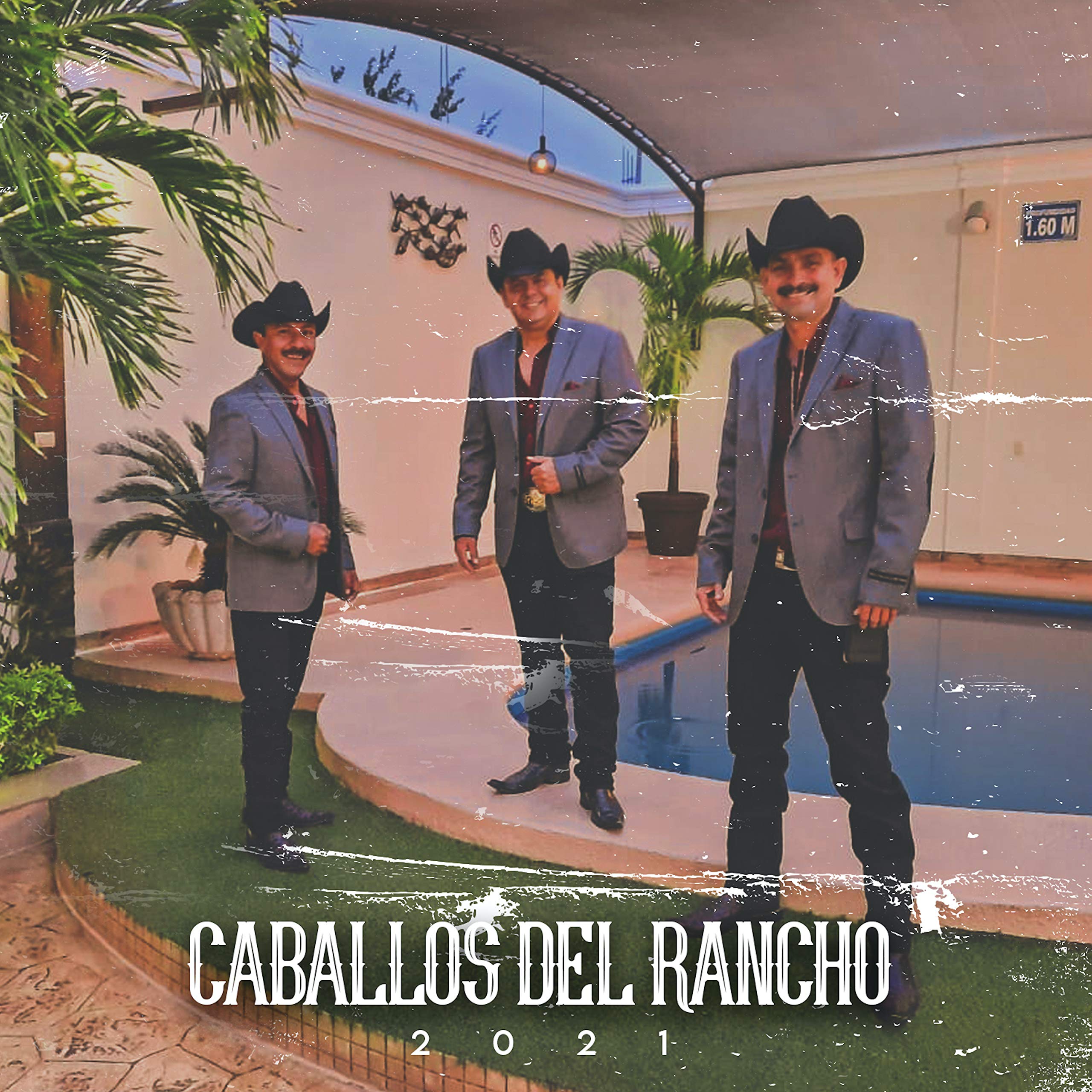 Caballos Del Rancho