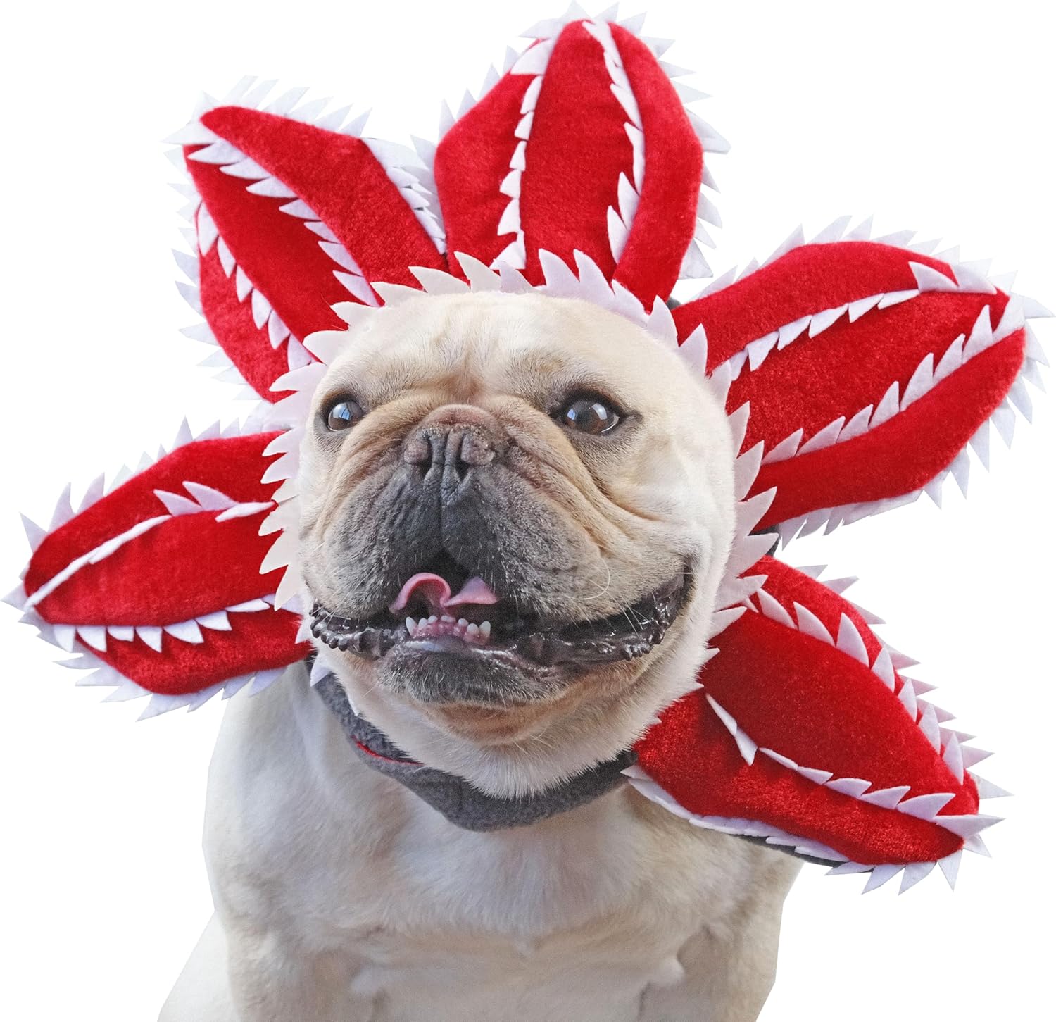 Dog Costume Hat Ear Wrap Piranha Plant Design, Funny Dog Halloween Costumes Headwear, Warm Pet Ear Head Wrap for Cold Weather, Pet Cosplay Clothes for Birthday Party, Christmas,M