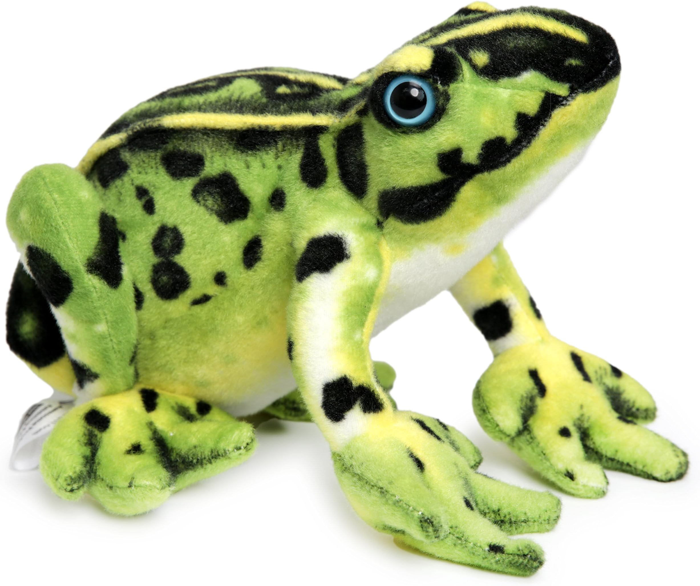 Fernando the Frog | 10 Inch Poison Dart Tree Toad Stuffed Animal Plush | By Tiger Tale Toys