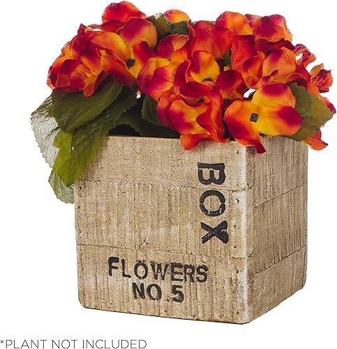 Miniatura 9 de Alpine Corporation Macetero cuadrado con acabado de madera, 5 pulgadas de largo x 5 pulgadas de ancho x 5 pulgadas de alto