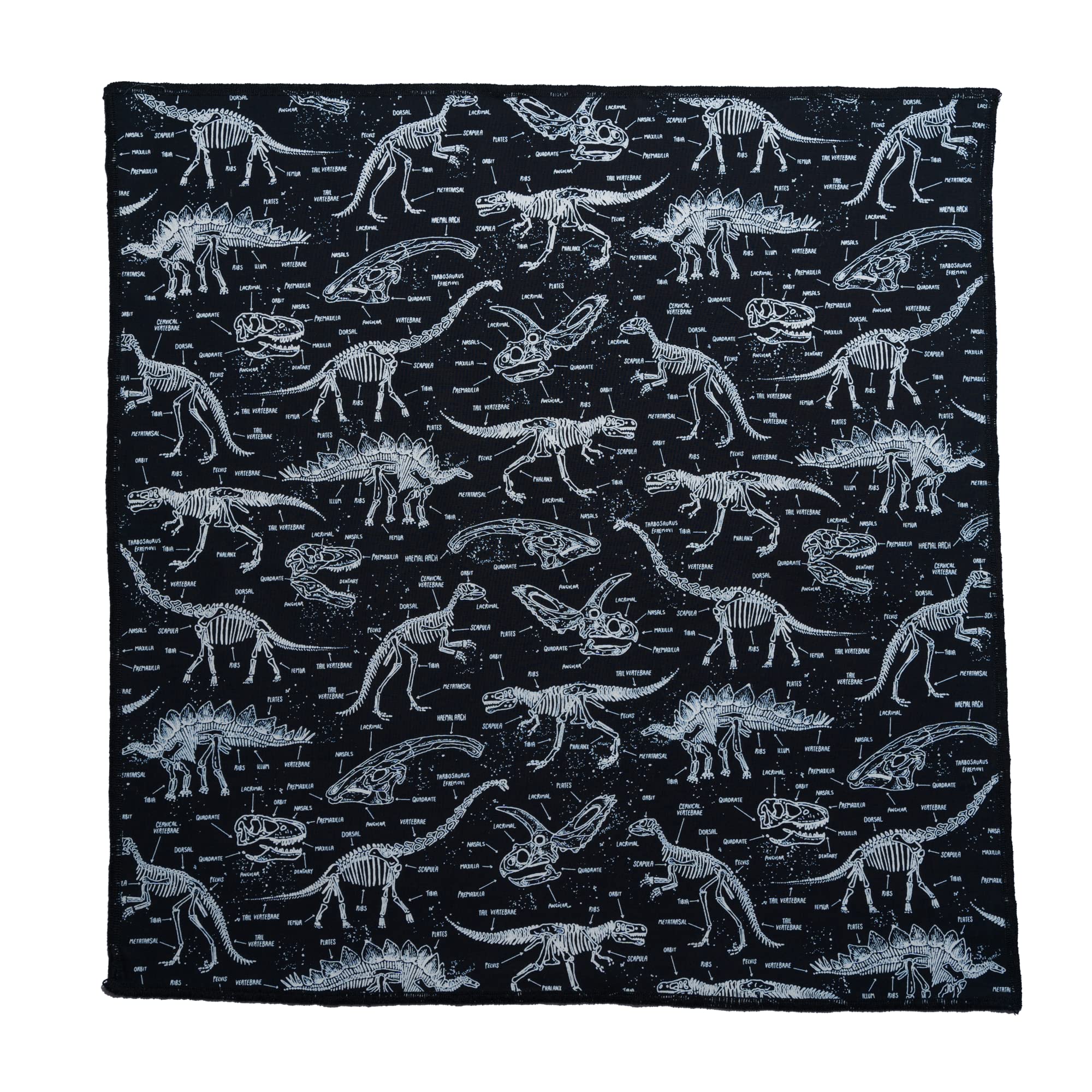 Glow in the Dark Dinosaur Bandana