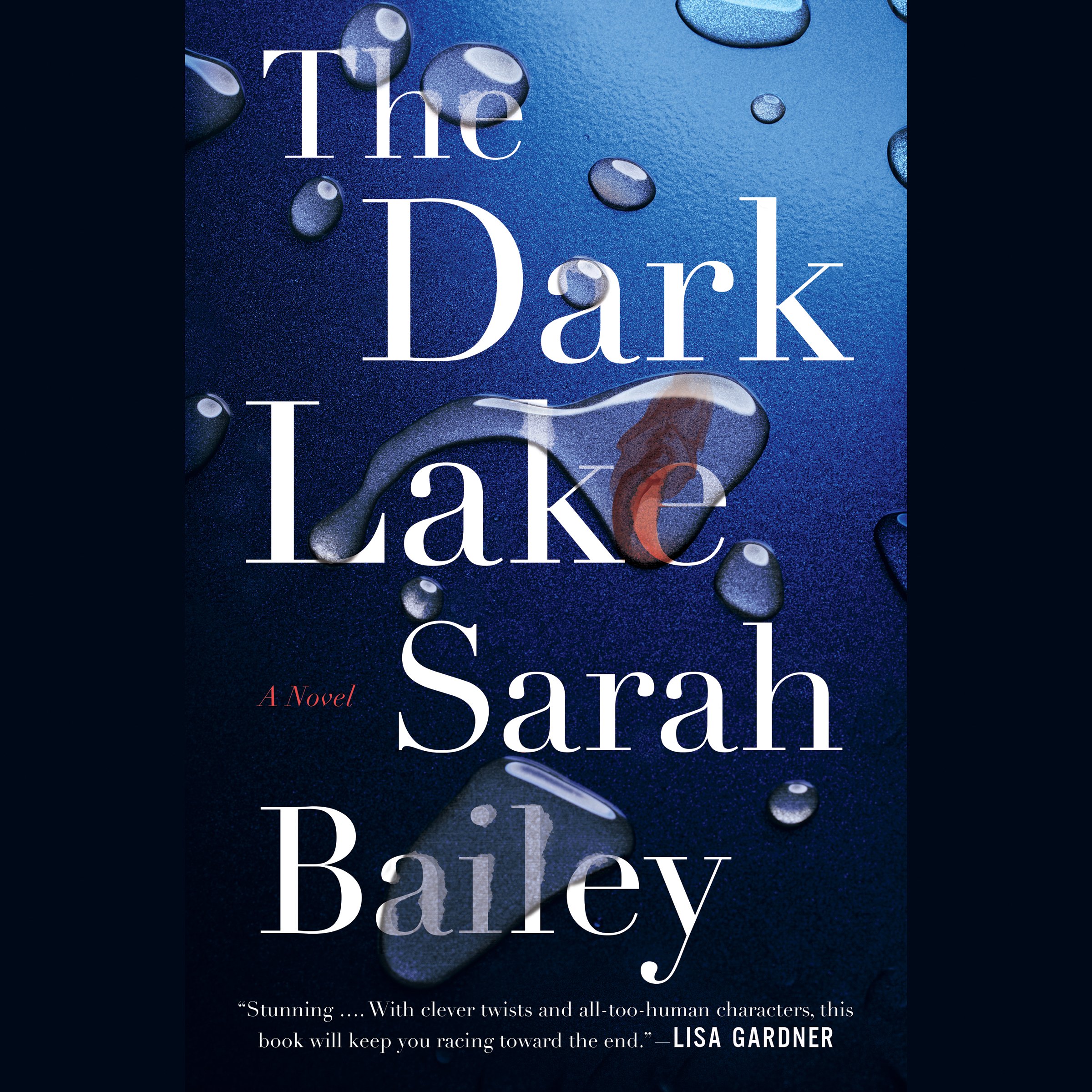Cover art for The Dark Lake
