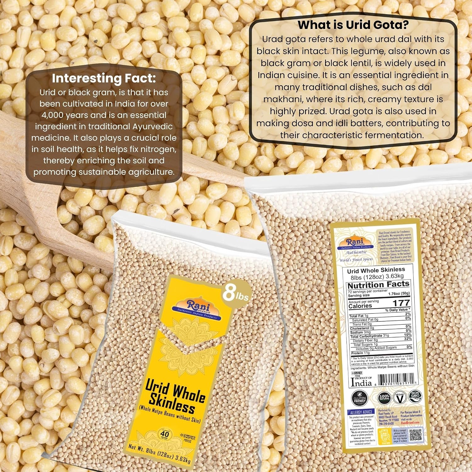 Rani Urid/Urad Gota White (Matpe Beans Skinless) Indian Lentils 128oz (8lbs) 3.63kg Bulk ~ All Natural | Gluten Friendly | Non-GMO | Kosher | Vegan | Indian Origin