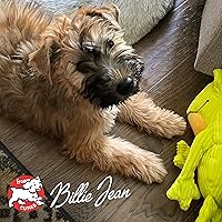 Vista 7 de Fromm Heartland Gold Puppy - Alimento seco prémium para perros Alimento seco para cachorros para razas medianas y pequeñas Receta de carne de res