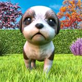 🐾 Puppy Dog Pals Simulator – Bringen Sie Ihren Hund zu seinen Haustierfreunden in Nachbarn für einen Haustierwettbewerb, halten Sie Ihren Hund von streunenden Hunden und verrückten Hunden fern.