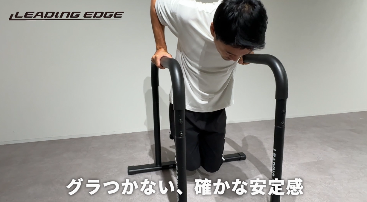 Amazon.co.jp: [リーディングエッジ] 2WAY ディップスタンド 耐