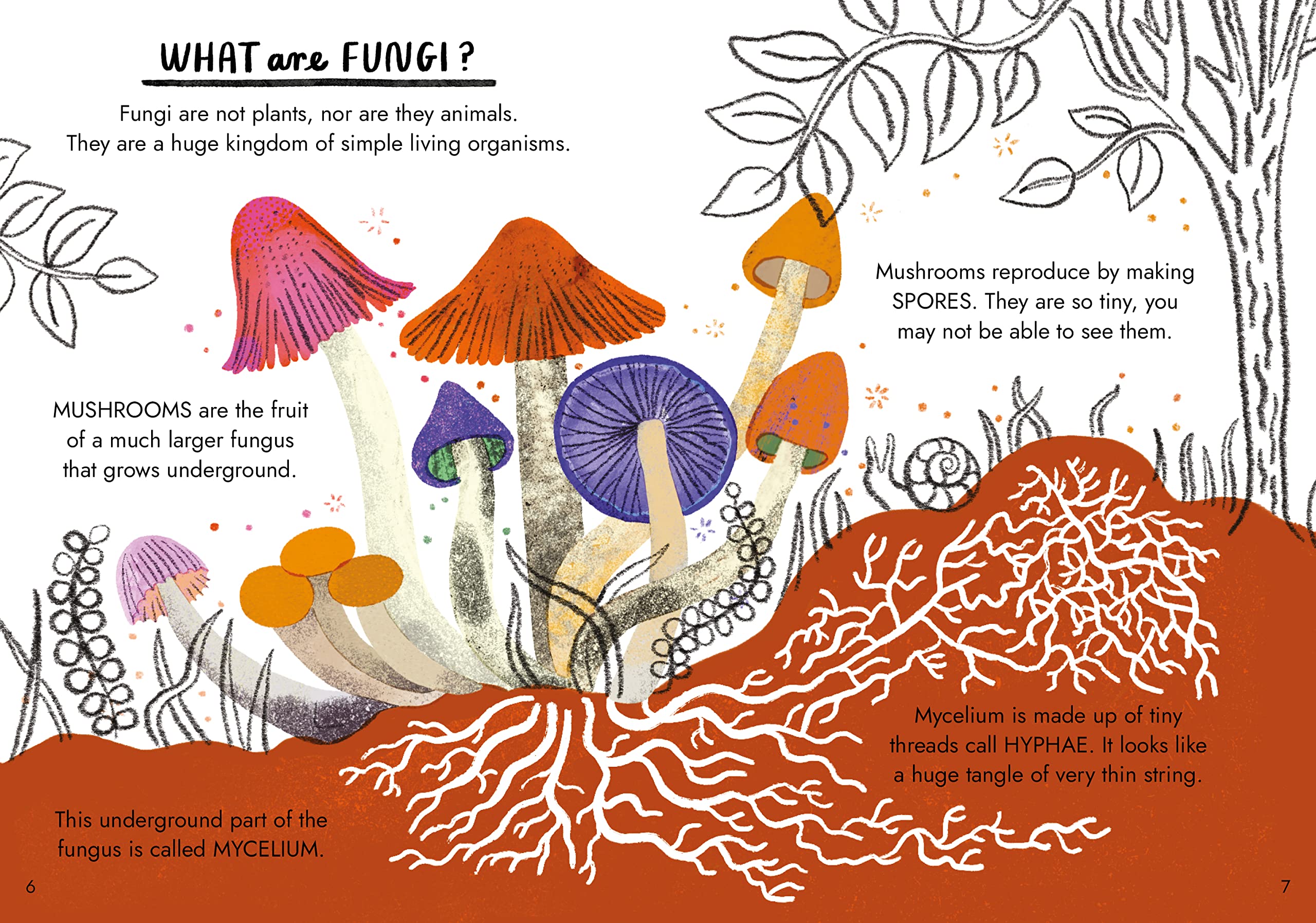 Hello Fungi A Little Guide to Nature /anglais